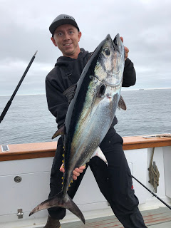 Bluefin Tuna