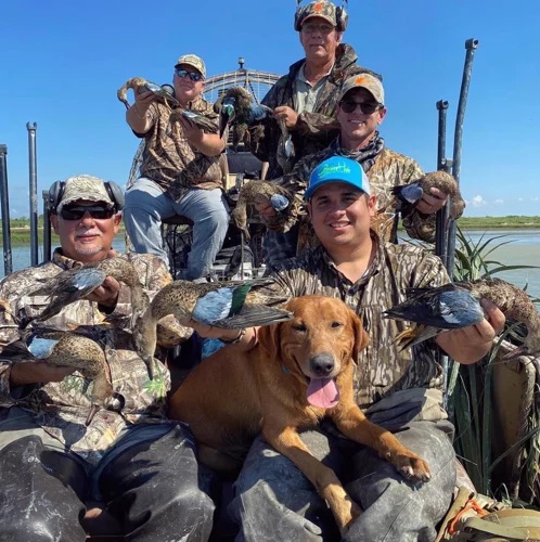 How To Identify a Duck?