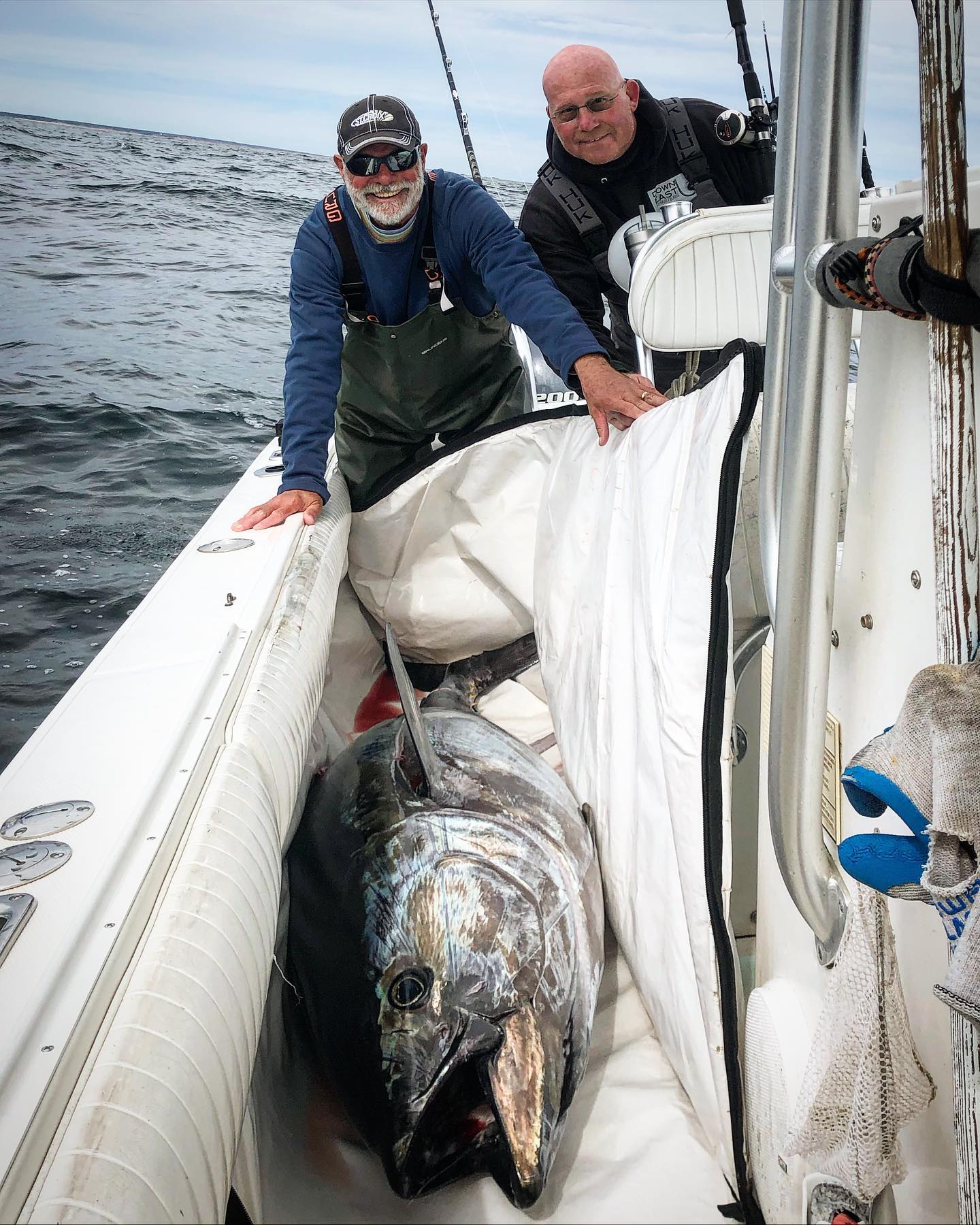 charter fishing cape cod