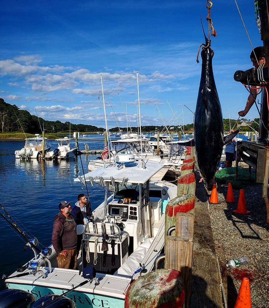my fishing cape cod