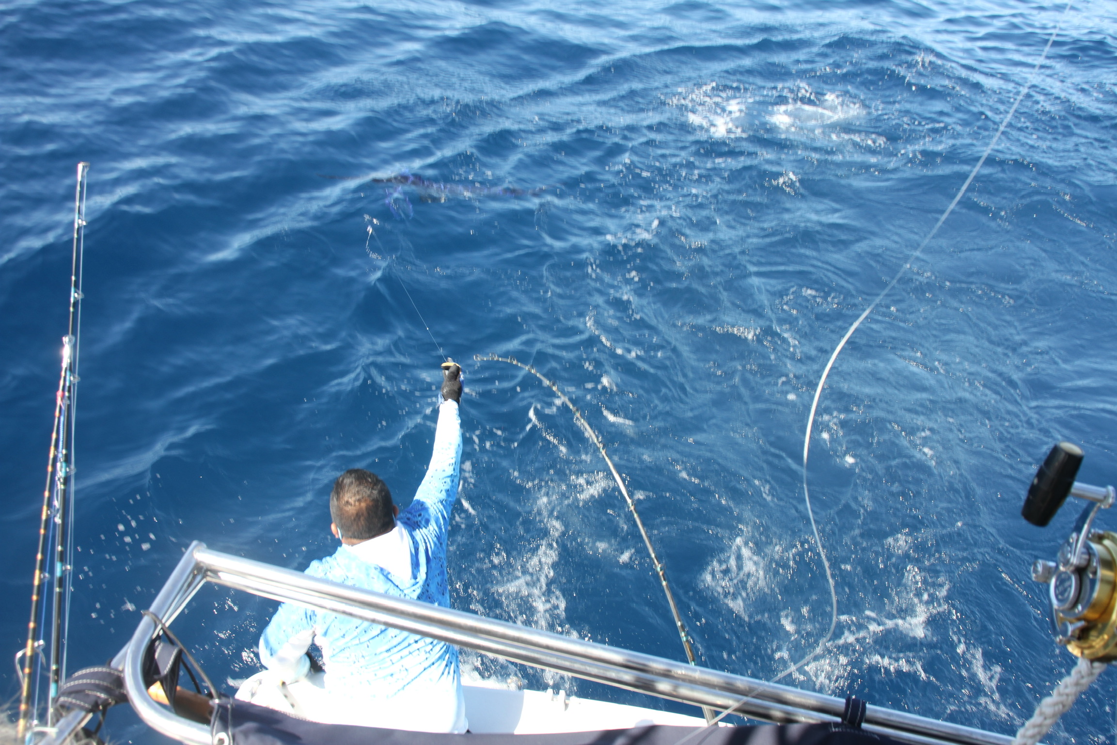 Offshore Fishing in Cabo San Lucas