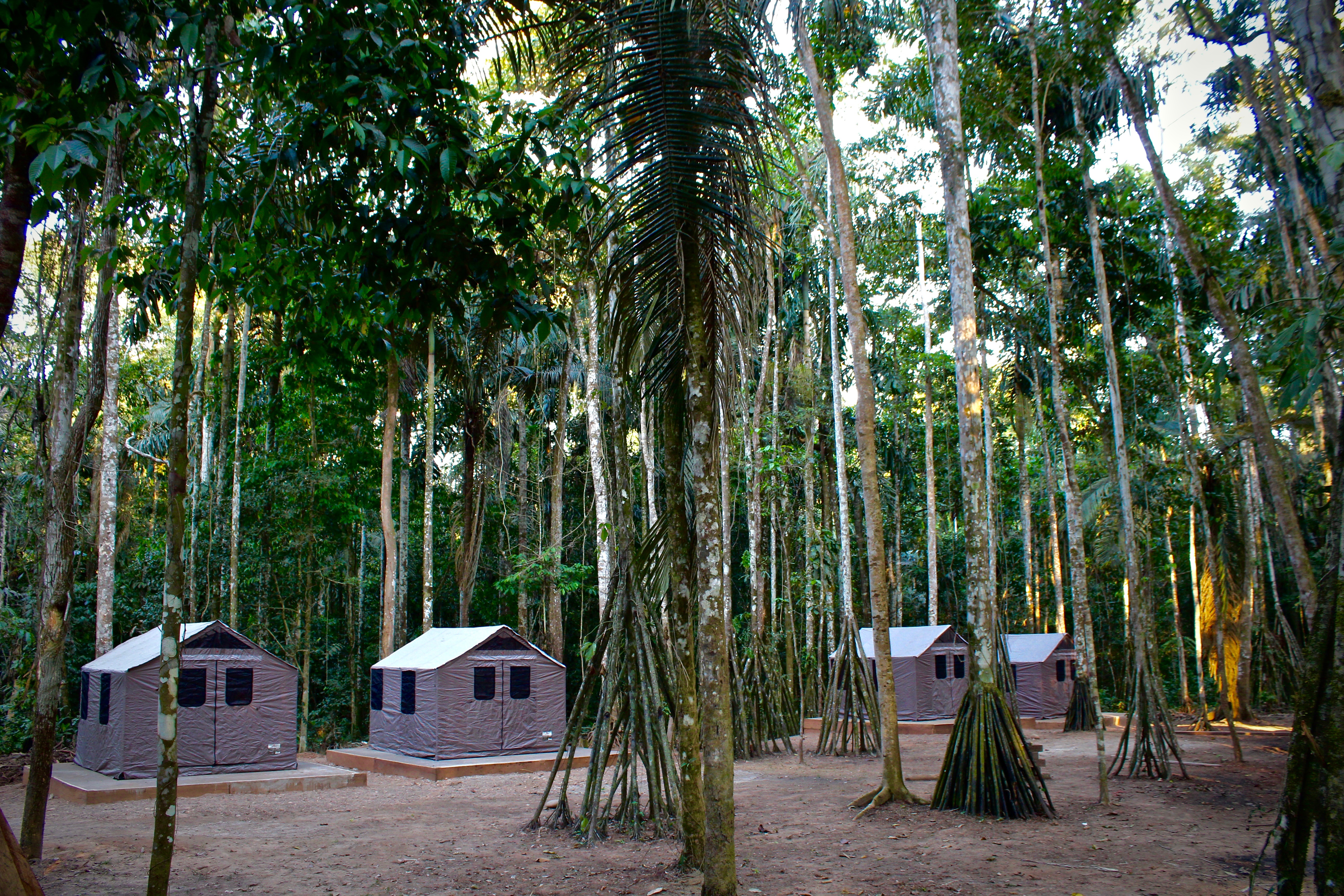 bolivian amazon