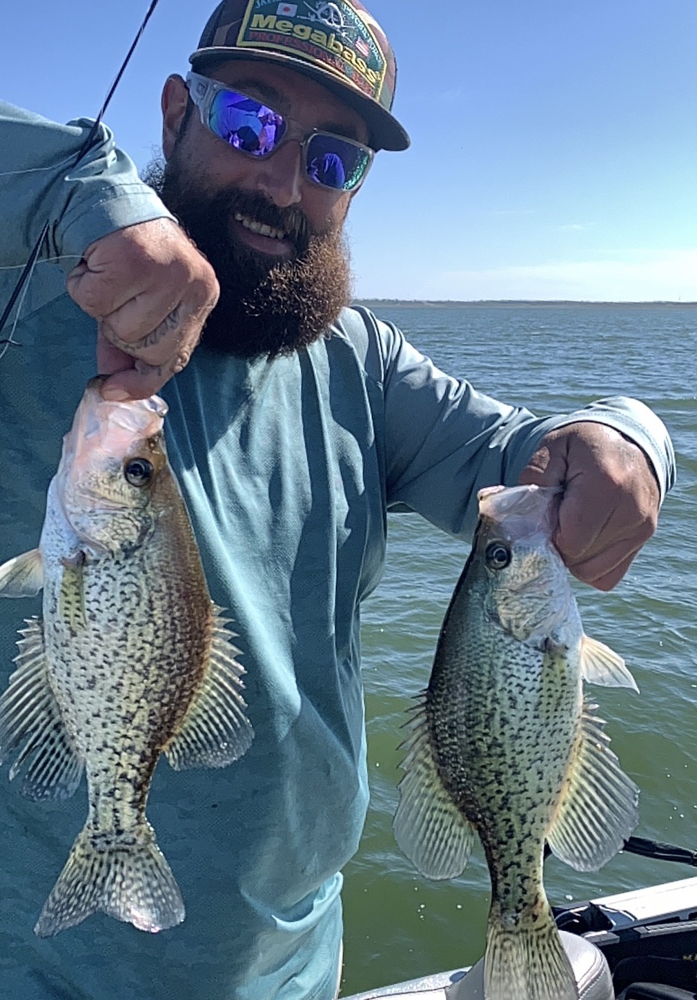 Everything you Need to Know About Panfish