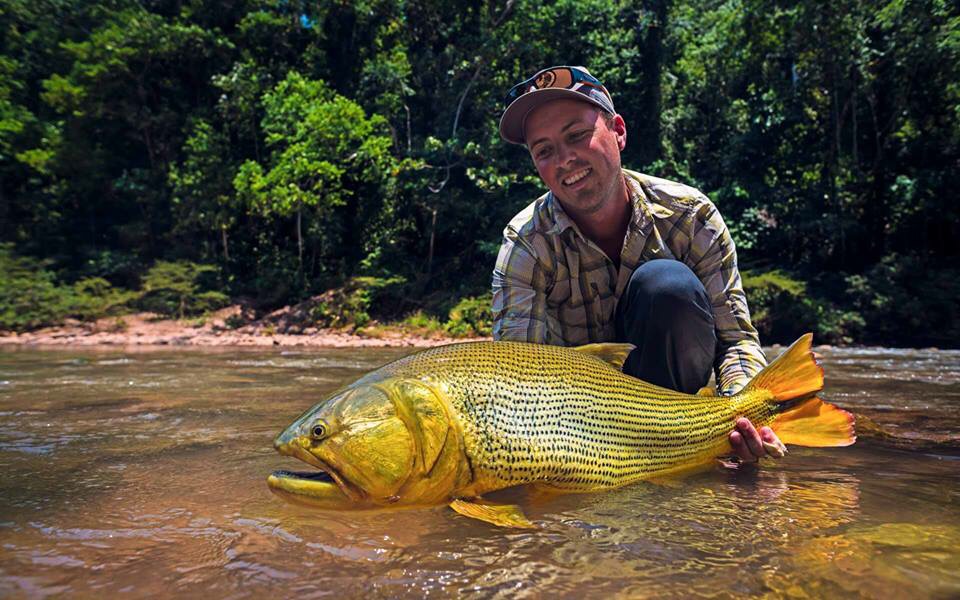 flies for golden dorado
