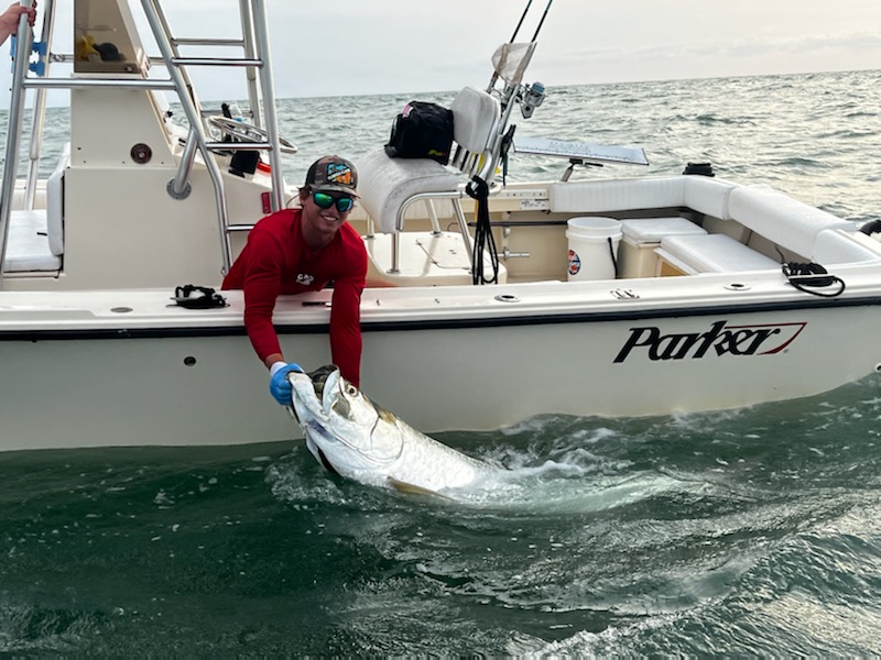 Tarpon fishing in Sarasota, FL