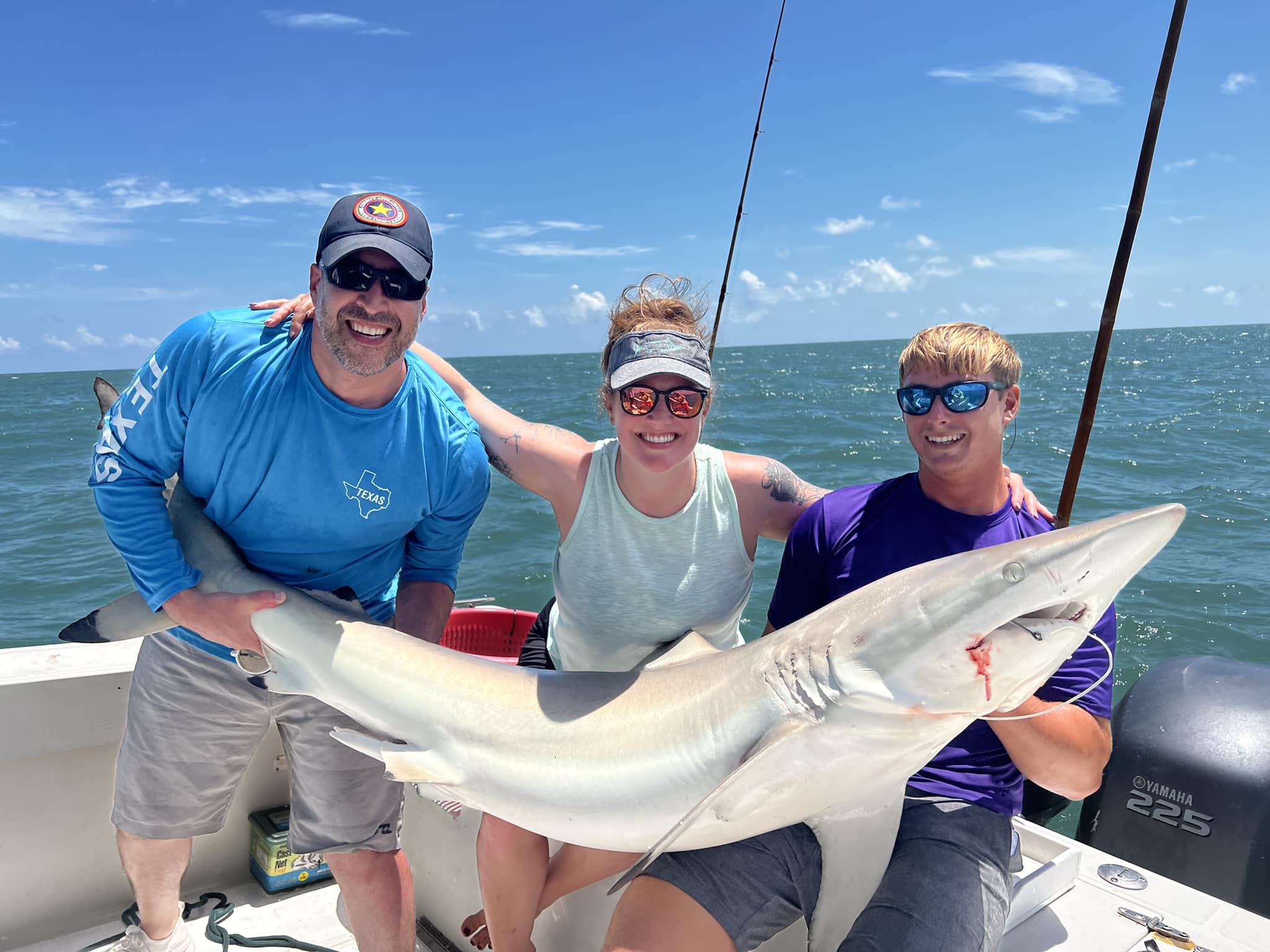 Blacktip shark in Florida