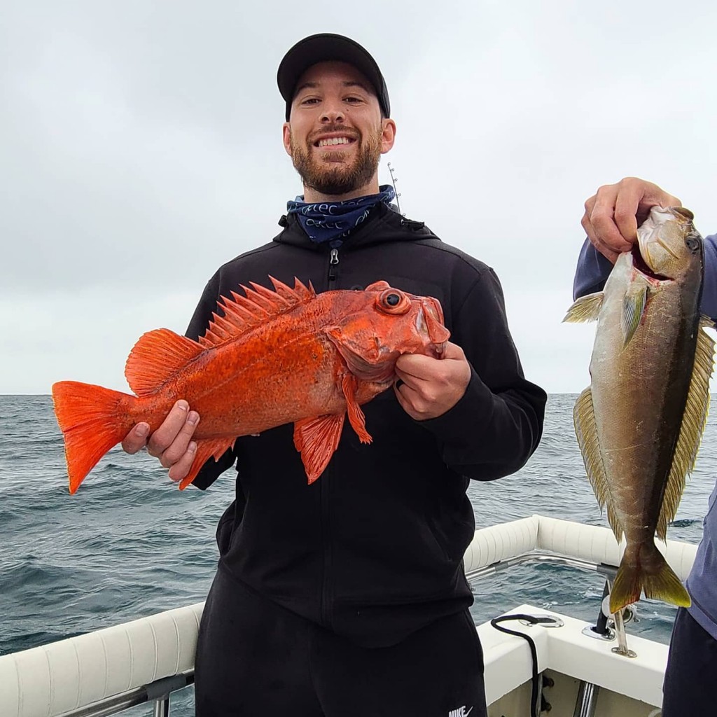 san diego rockfish