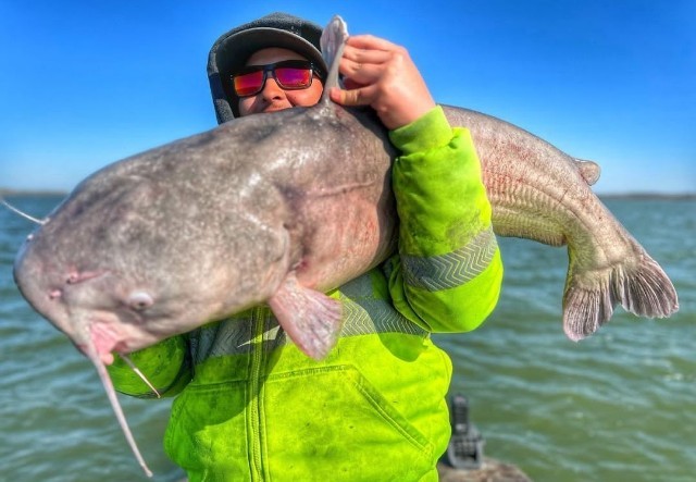 Noodling: The Complete Guide To Hand Fishing