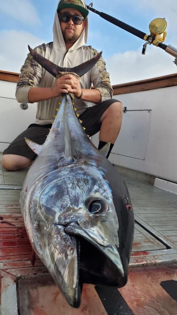 tuna san diego