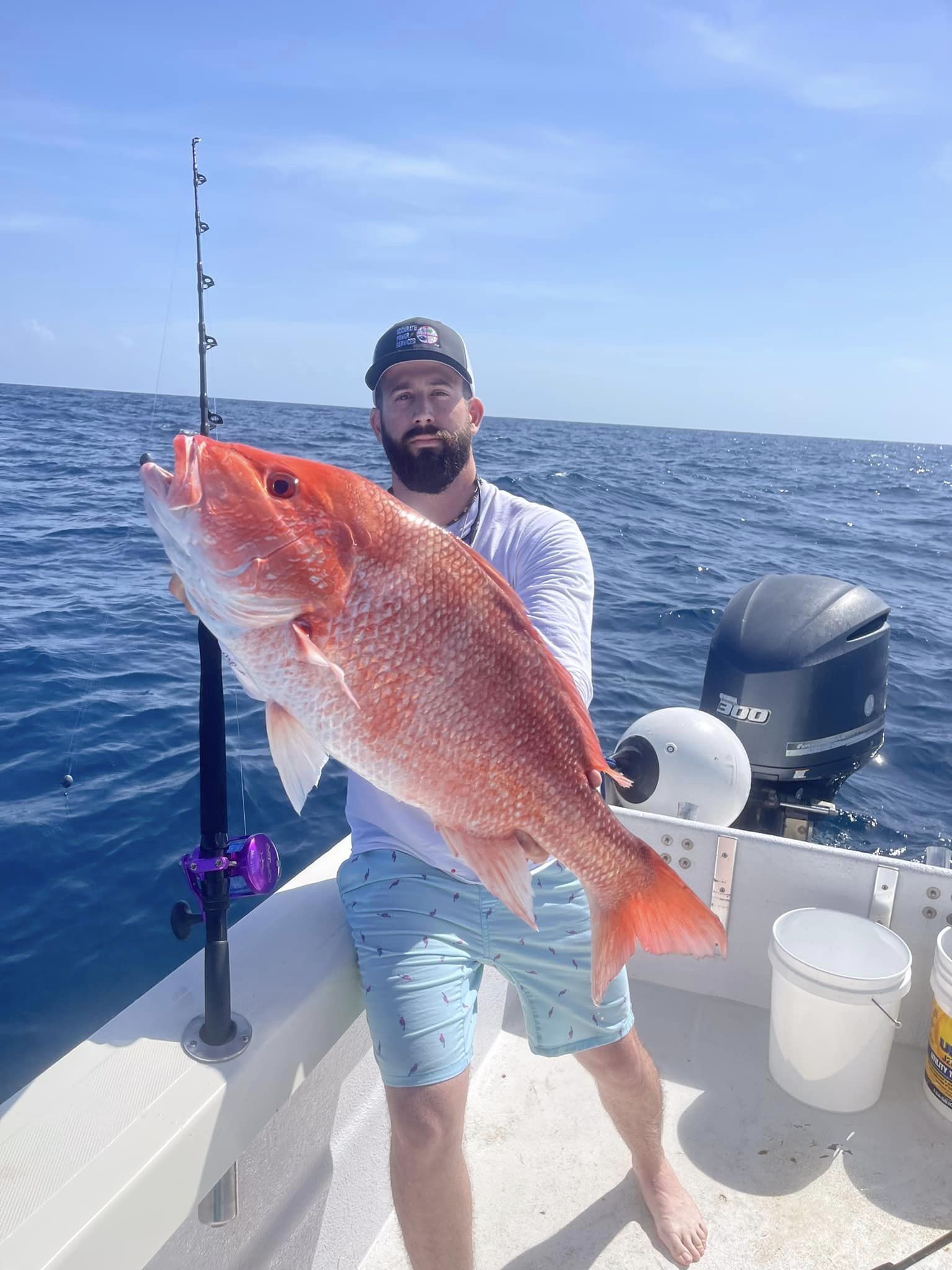 leaf snapper