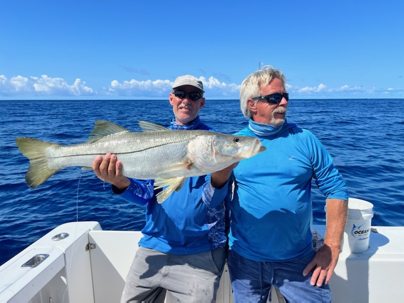 snook