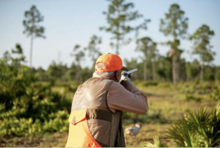 Hunting Licenses