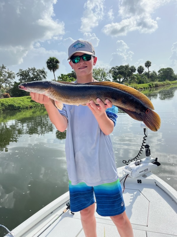Invasive Snakehead Caught In Florida