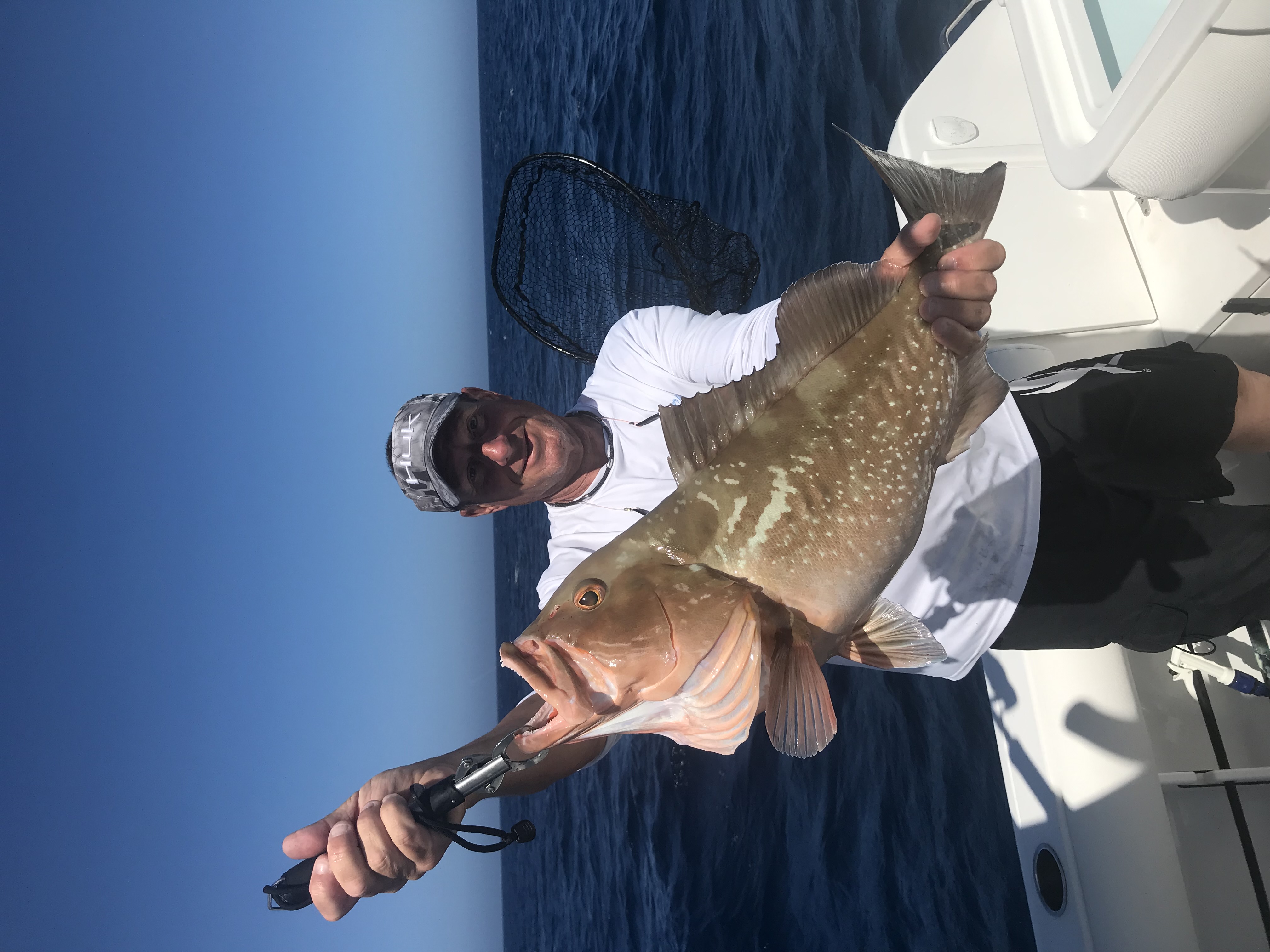 Red Grouper caught in the Gulf of Mexico
