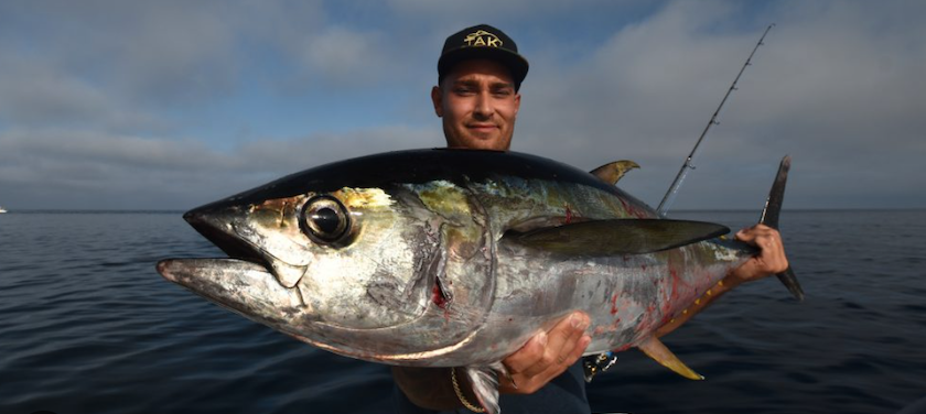 Fish Caught At Dusk