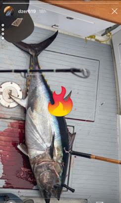 Deep Sea Fishing San Diego 2020 Recap