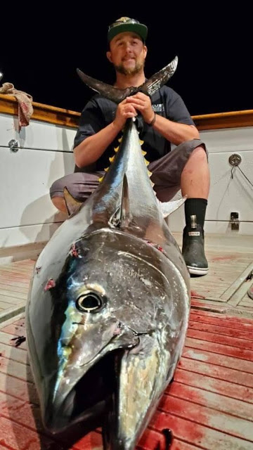 san diego deep sea fishing charters