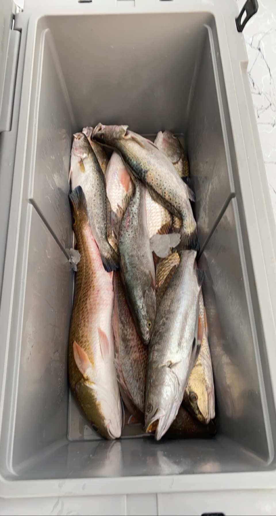 matagorda fishing trips8