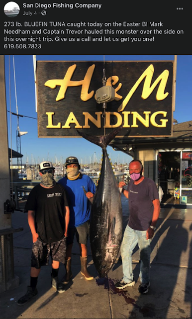 fishing charters san diego ca