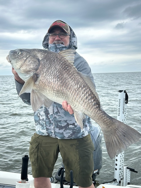 Black Drum Caught In Louisiana