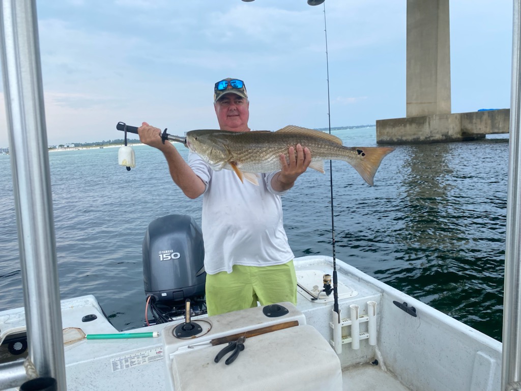 Redfish Caught Near Orange Beach AL