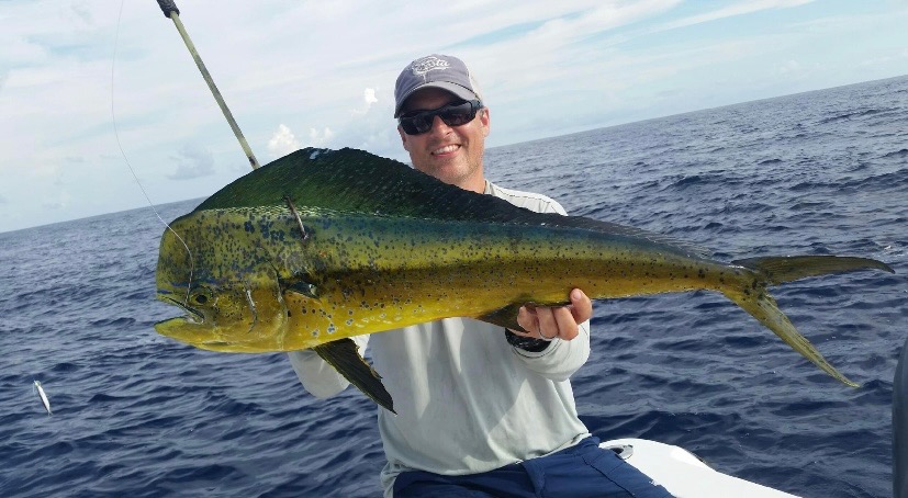 Mahi Mahi Caught In Orange Beach