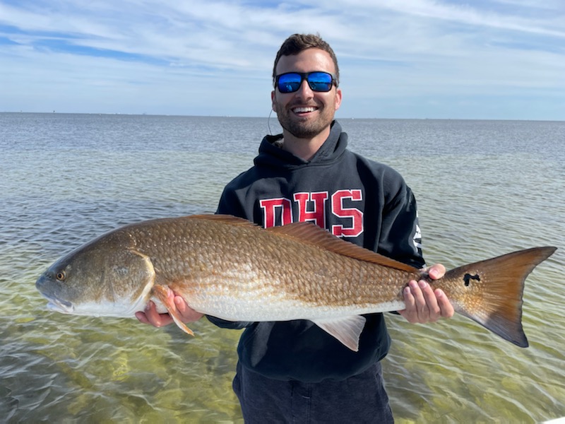 Redfish Caught In St. Petersburg