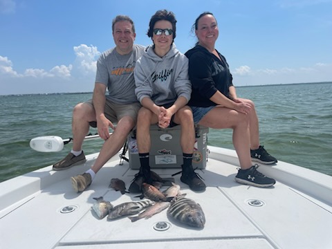Sheepshead Caught In St. Petersburg, FL