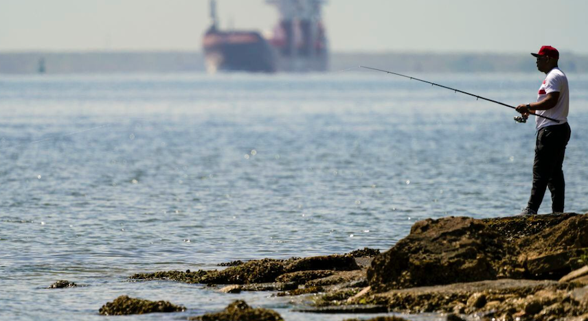 Fishing At Tampa Bay