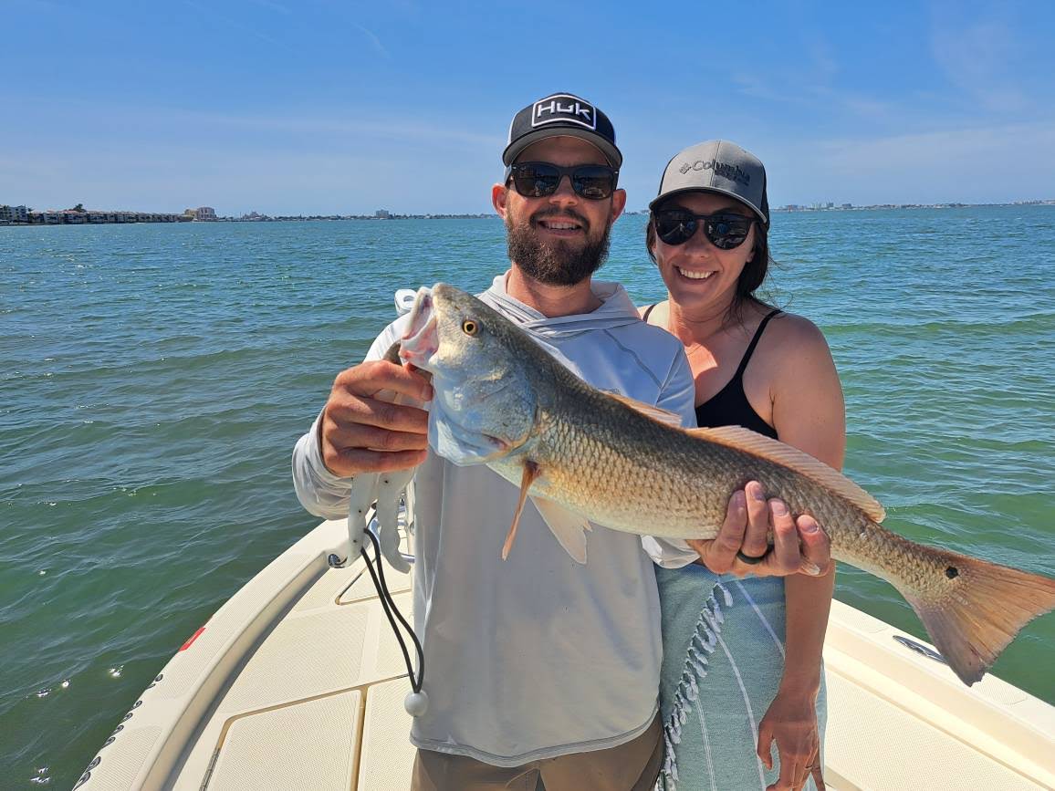 Redfish Caught In St. Petersburg, FL