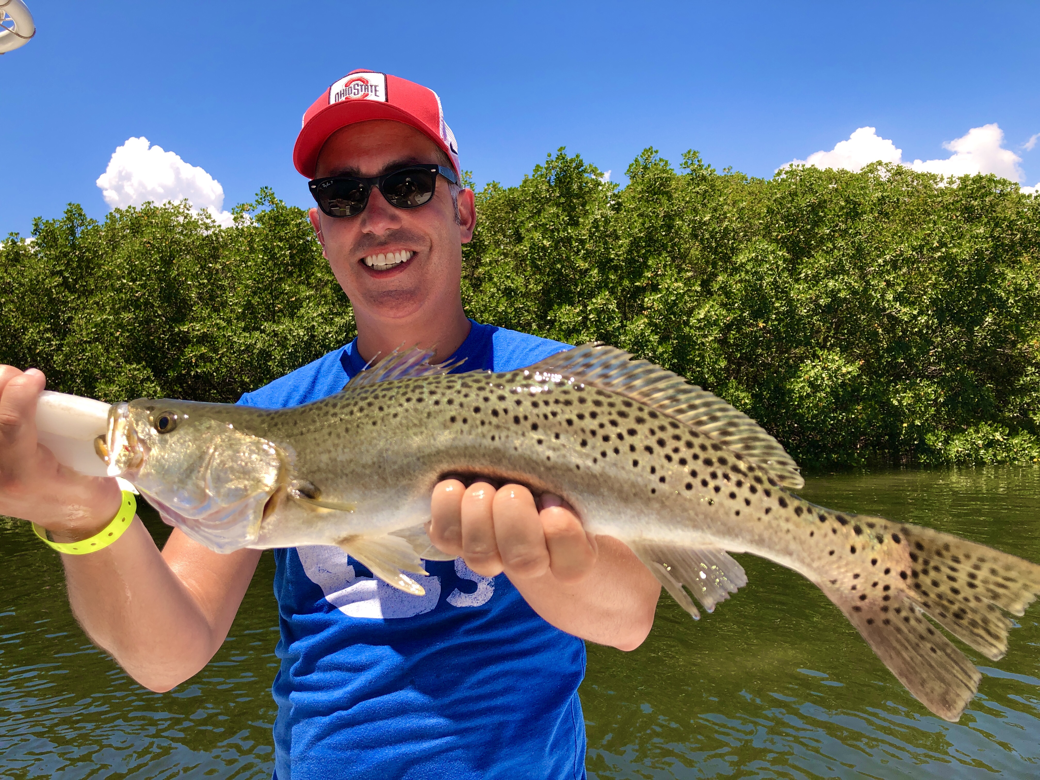 Speckled Trout Caught In St. Petersburg, FL