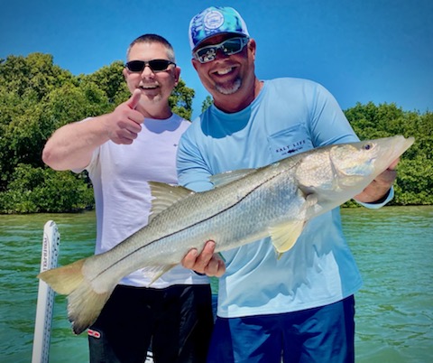 Fish Caught In St. Petersburg, FL