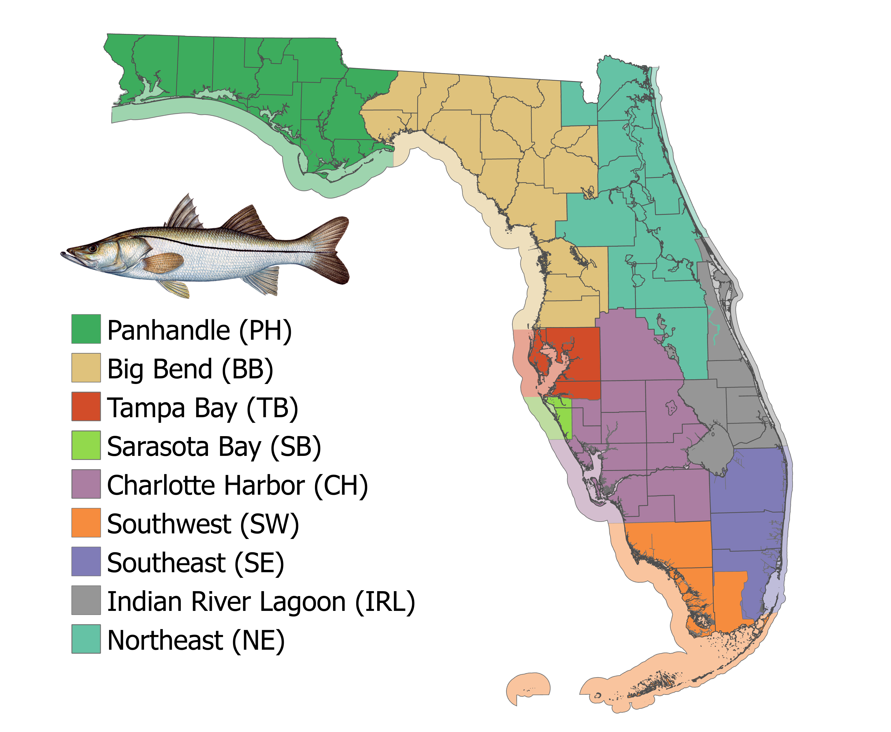 Florida snook management regions