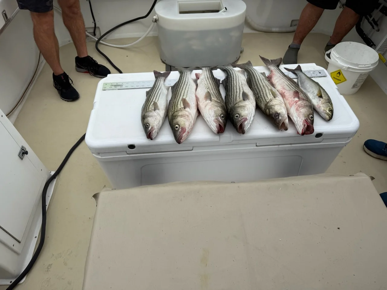 Fishing in Kent Narrows, Maryland