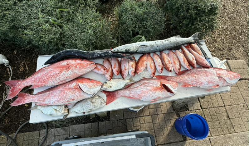 Fishing in Fernandina Beach, Florida