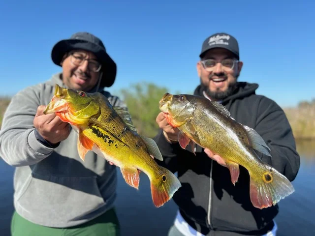 Fishing in Fort Lauderdale, Florida