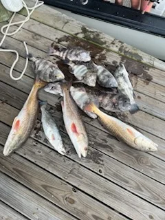 Redfish Fishing in Galveston, Texas