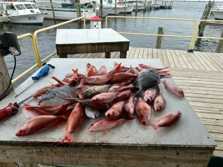 Fishing in Pensacola, Florida