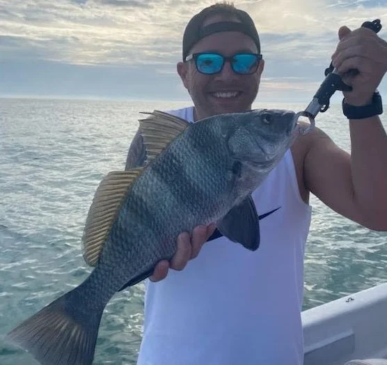 Triggerfish Fishing in Sarasota, Florida