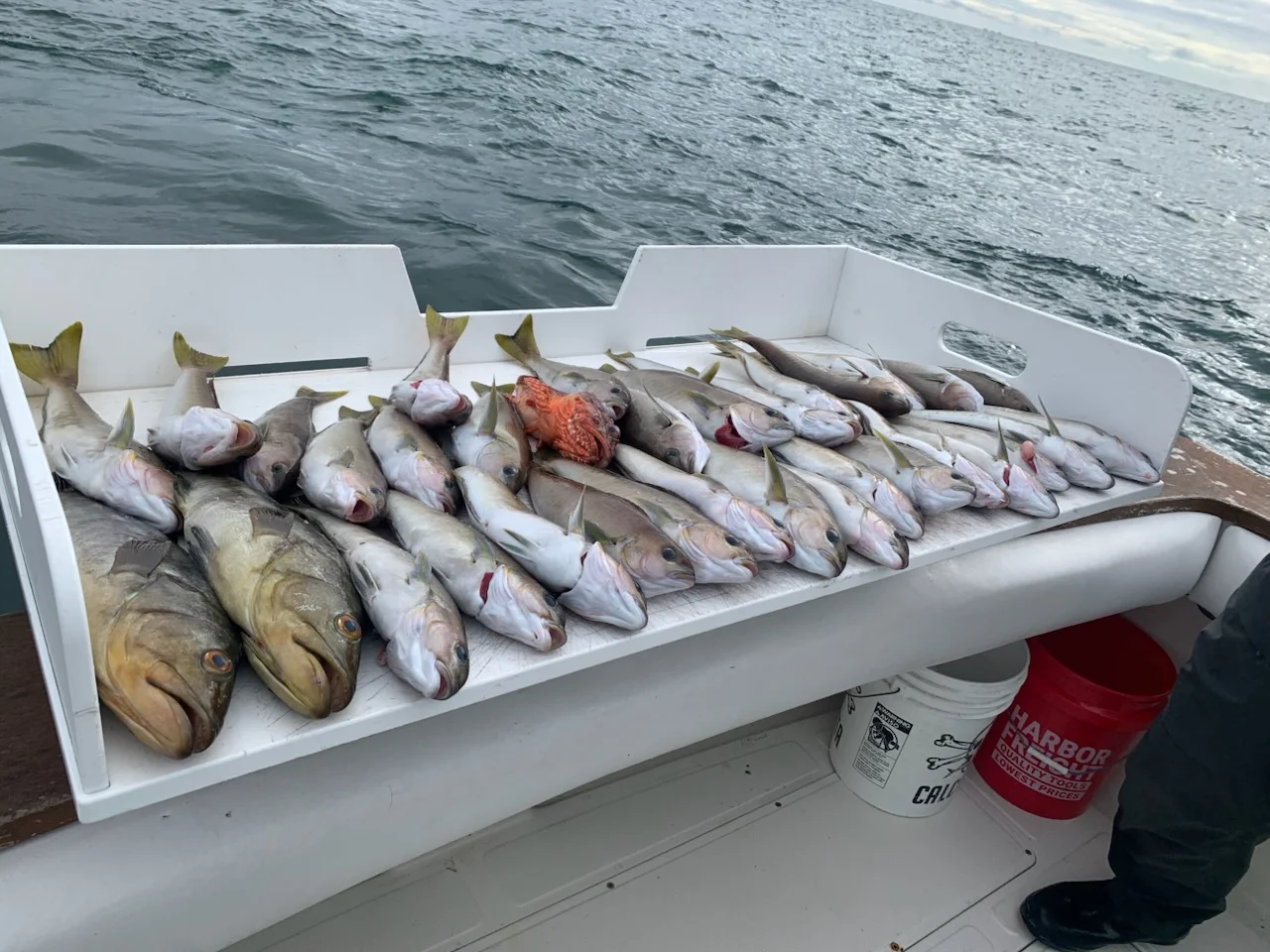 Fishing in Los Angeles, California
