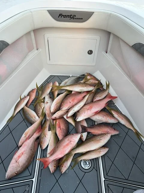 Fishing in Naples, Florida