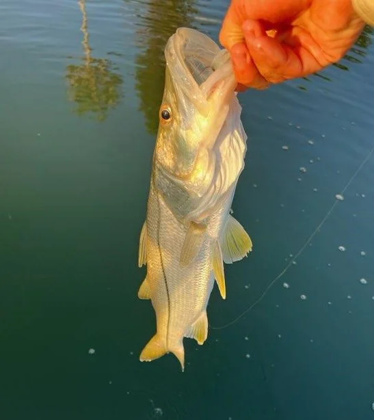 Redfish Fishing in New Smyrna Beach, Florida