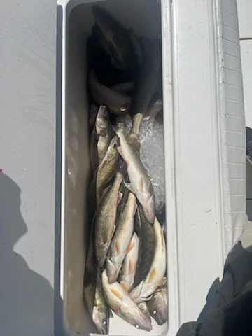 Fishing in Oak Harbor, Ohio