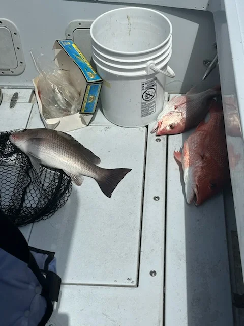 Fishing in Pensacola, Florida