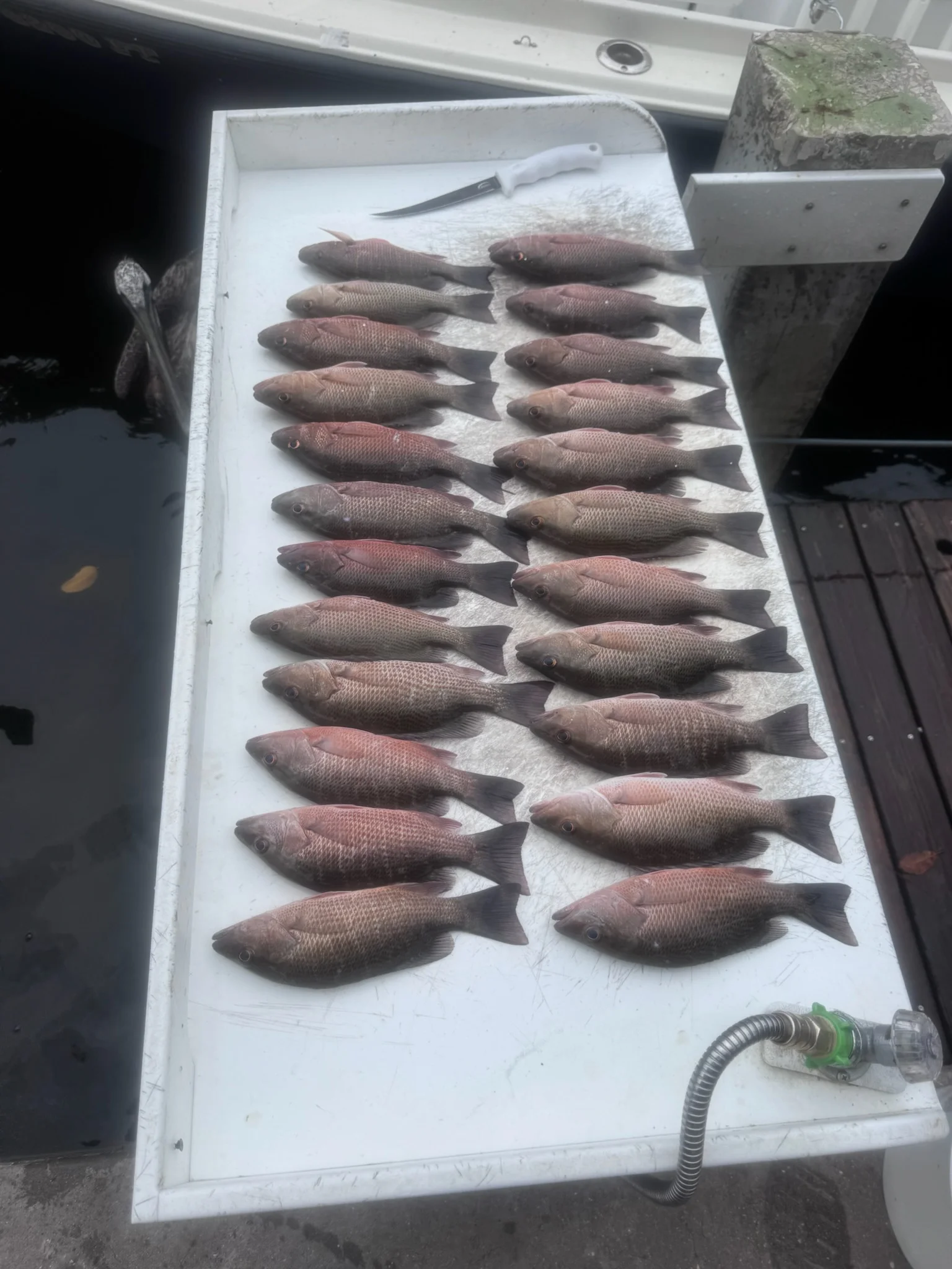 Fishing in Bradenton, Florida