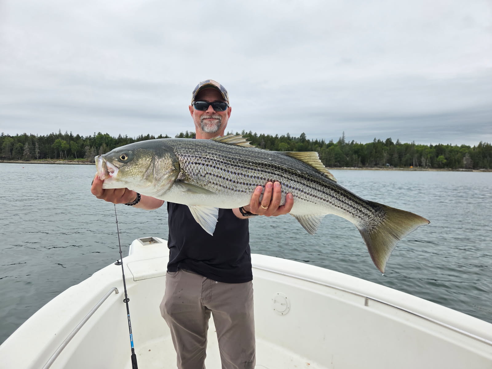Hunting in Belfast, Maine