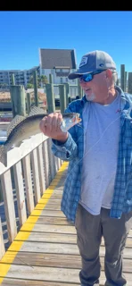 Fishing in Orange Beach, Alabama
