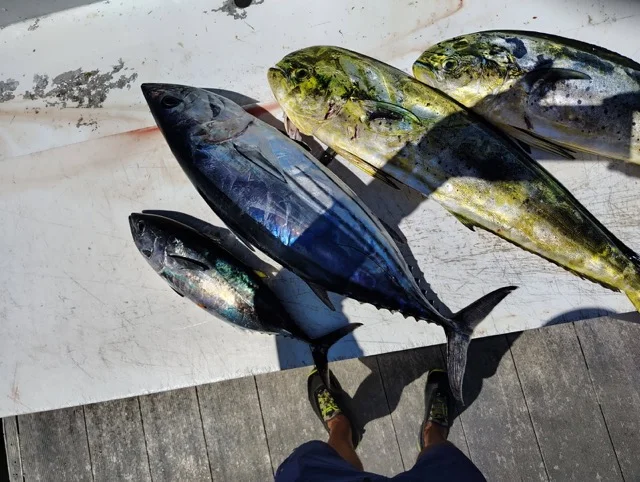 Fishing in Key West, Florida