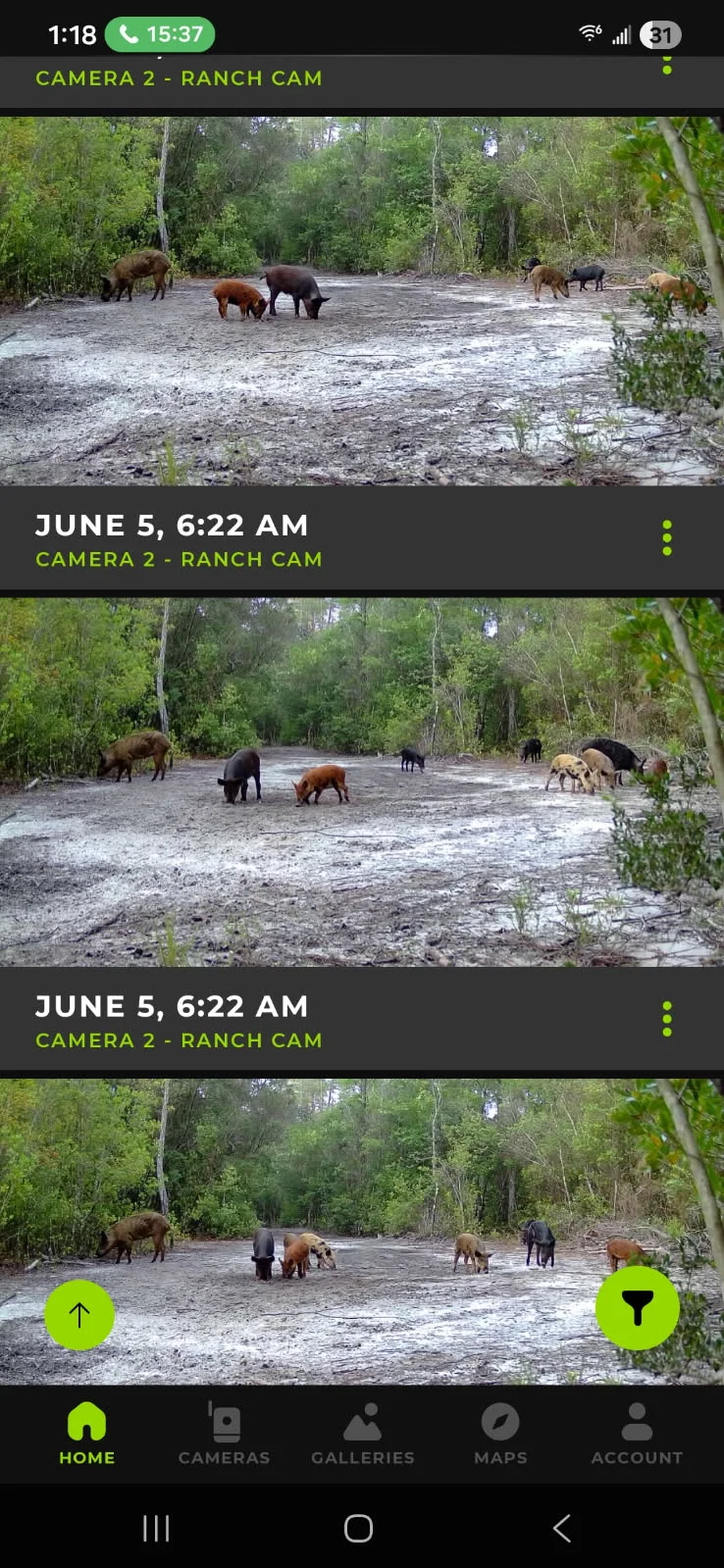 Hunting in Crestview, Florida