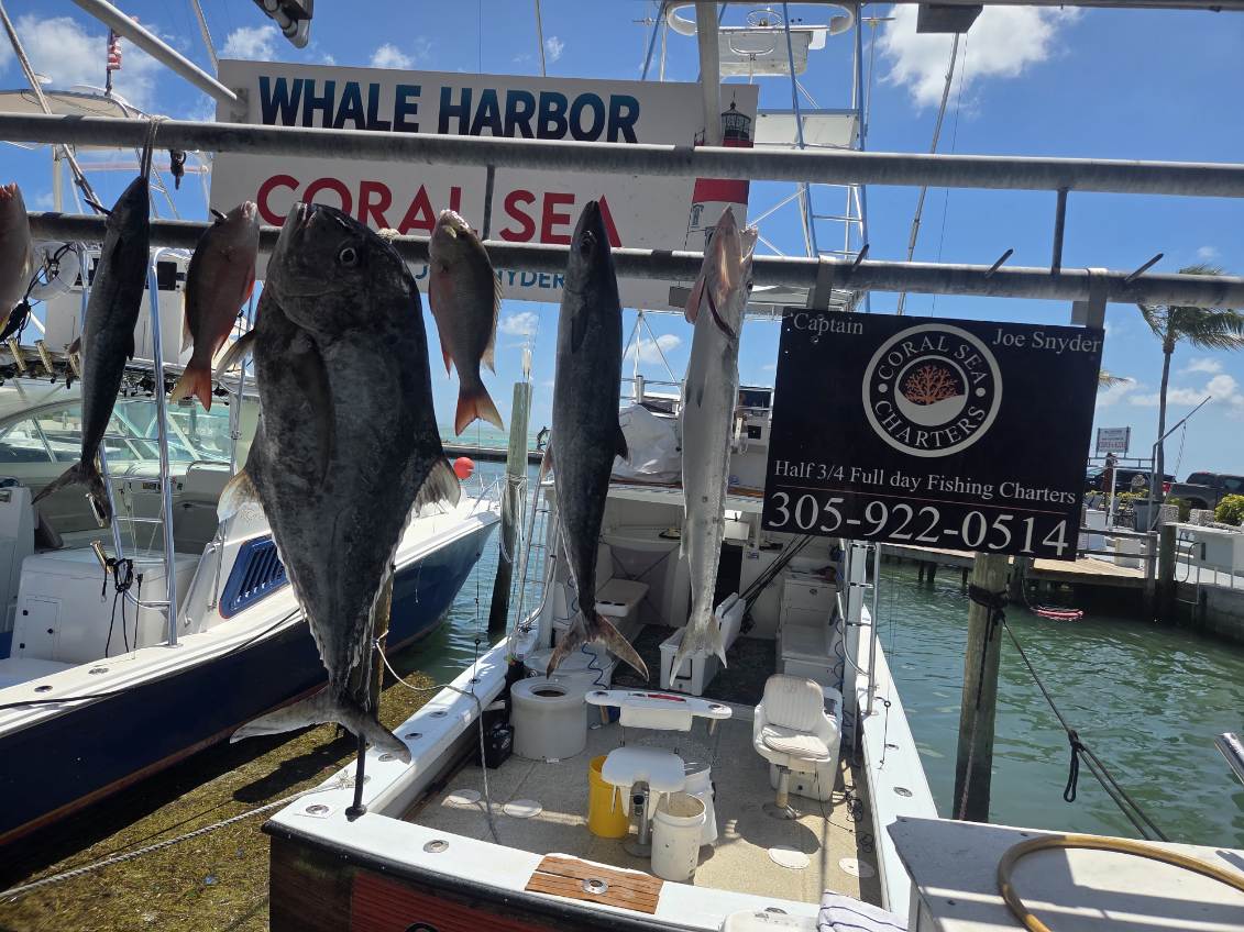 Fishing in Islamorada, Florida
